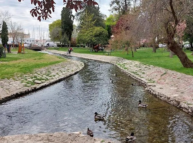 Angelo Lejlighed Zadar